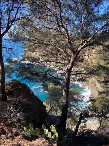 Maison Face A La Mer Au-Dessus De La Baie De Rosas Villa